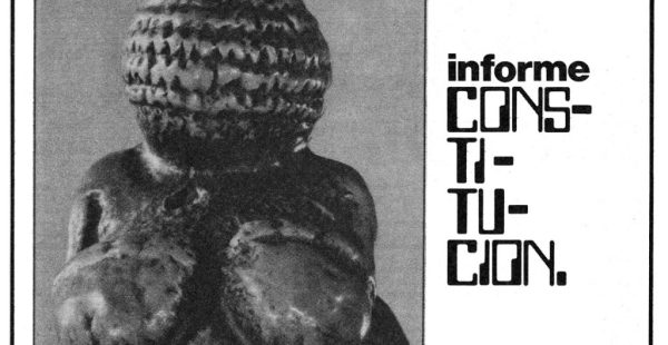 Informe constitución